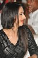 Actress Sanjjanaa @ Happy Birthday Movie Audio Launch Stills