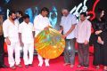 Happy Birthday Movie Audio Launch Stills