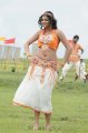 Hari Priya Hot Pics