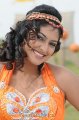 Hari Priya Hot Pics