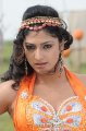 Hari Priya Hot Pics