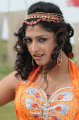 Hari Priya Hot Pics