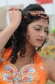 Hari Priya Hot Pics