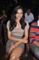 Actress Rakul Preet Singh at Haridas Audio Launch Stills