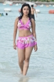 Actress Harika Hot Bikini Stills in Mr Rascal Movie
