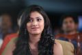 Beautiful Haripriya Photos at Prema Ishq Kadhal Audio Release