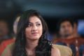 Actress Haripriya Beautiful Photos at Prema Ishq Kadhal Audio Release