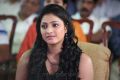 Beautiful Haripriya Photos at Prema Ishq Kadhal Audio Release