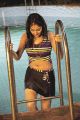 Actress Haripriya Hot Pics in Atharvanam Movie