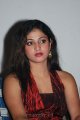 Haripriya Latest Hot Stills