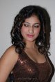 Haripriya New Hot Pics