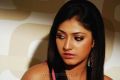 Yuvakudu Actress Haripriya New Pics