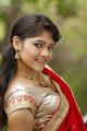 Telugu Actress Haritha Hot Saree Stills