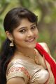 Telugu Actress Haritha Hot Saree Stills