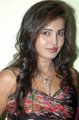 Tamil Actress Harshika Hot Stills