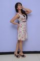 Actress Harshika Poonacha Hot Mini Gown Pictures