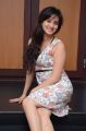 Actress Harshika Poonacha Hot in Mini Gown Pictures