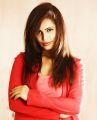 Actress Hashika Dutt Hot Latest Photoshoot Stills