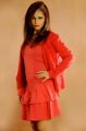 Actress Hashika Dutt Latest Hot Photoshoot Stills