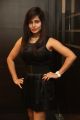 Actress Hashika Dutt Hot Photos @ Player Teaser Launch