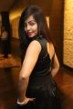 Actress Hashika Dutt Hot Photos @ Player Poster Launch