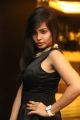 Hashika Dutt Hot Photos @ Player Poster Launch