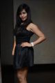 Actress Hasika Hot Photos @ Player Poster Launch