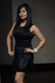 Actress Hashika Dutt Hot Photos @ Player Poster Launch