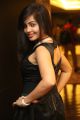 Actress Hashika Hot Photos @ Player Poster Launch