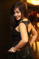 Actress Hashika Dutt Hot Photos @ Player Teaser Launch