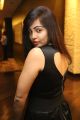 Hashika Dutt Hot Photos @ Player Poster Launch