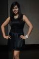 Actress Hasika Hot Photos @ Player Poster Launch