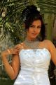 Tamil Actress Hasika Dutta Hot Photoshoot Stills