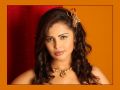 Tamil Actress Hashu Dutta Hot Photoshoot Stills