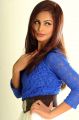 Tamil Actress Hasika Hot Photoshoot Stills