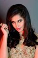Tamil Actress Hasika Hot Photoshoot Stills