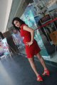 Hasika Hot Pics in Red Dress