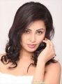 Actress Hasika Photo Shoot Images