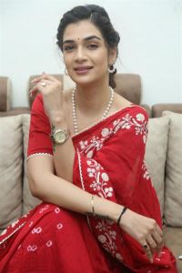 Actress Hasini Sudhir Red Saree Photos @ Purushothamudu Movie Interview