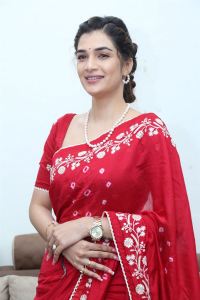 Purushothamudu Movie Actress Hasini Sudhir in Red Saree Photos