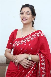 Actress Hasini Sudhir Photos @ Purushothamudu Movie Interview