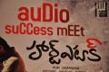 Heart Attack Movie Audio Success Meet Stills