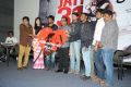 Heart Attack Movie Audio Success Meet Stills