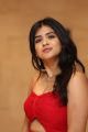 Actress Hebah Patel Hot Images @ Aha OTT App Launch