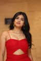 Actress Hebah Patel Images @ Aha OTT Platform Launch