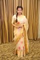 Actress Hebah Patel Saree Photos @ Mister Pre Release Function