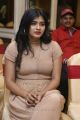 Actress Hebah Patel Hot Pics @ Santosham Awards 2017 Curtain Raiser Press Meet