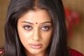 Actress Priyamani in Hello Boss Movie Stills