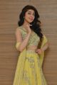 Actress Pranitha Subhash @ Hello Guru Prema Kosame Success Meet Stills