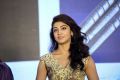 Pranitha Subhash @ Hello Guru Prema Kosame Success Meet Stills